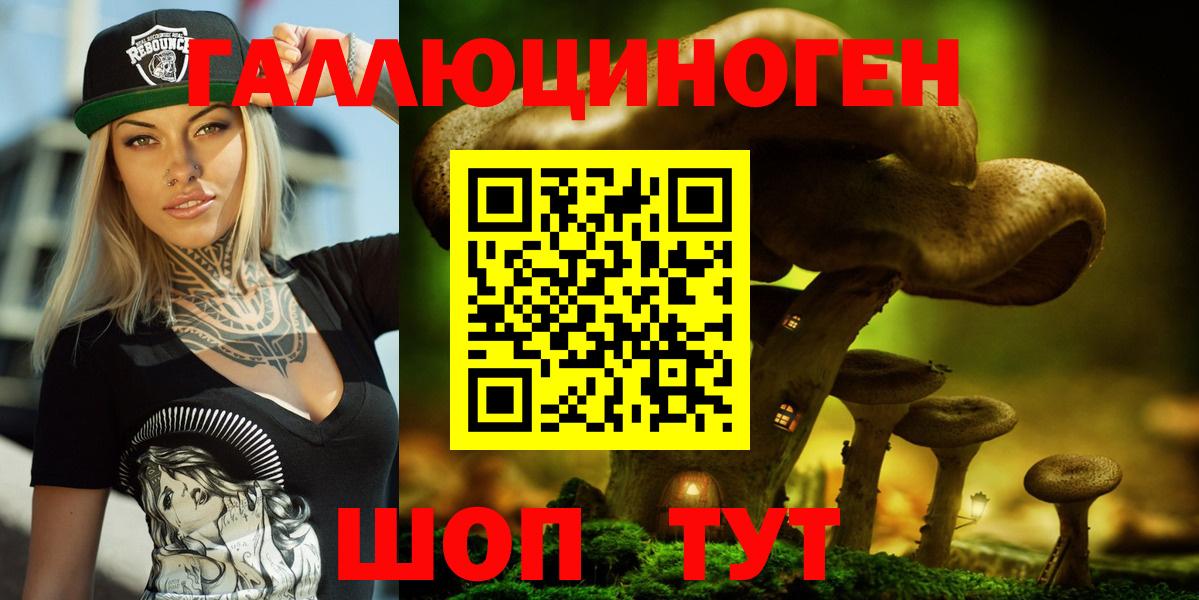Псилоцибиновые грибы мухоморы Воркута