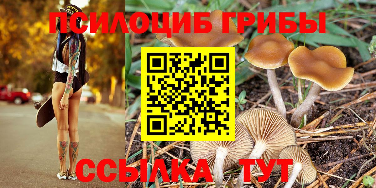 Воркута  Галлюциногенные грибы Cubensis  Вход с VPN 